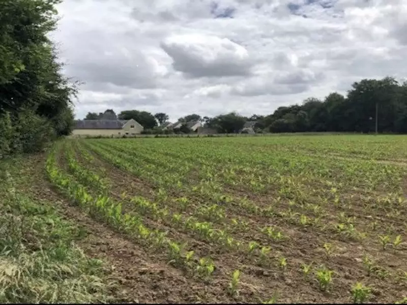 Maison neuve, 85 m² - Mouen (14790)
