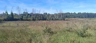 Terrain à bâtir, 2 000 m²