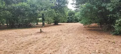 Maison neuve, 50 m²