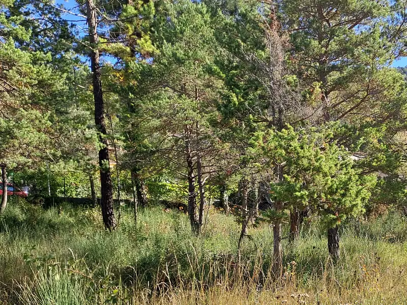 Maison neuve, 100 m² - Levens (06670)