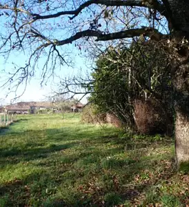 Maison neuve, 80 m²