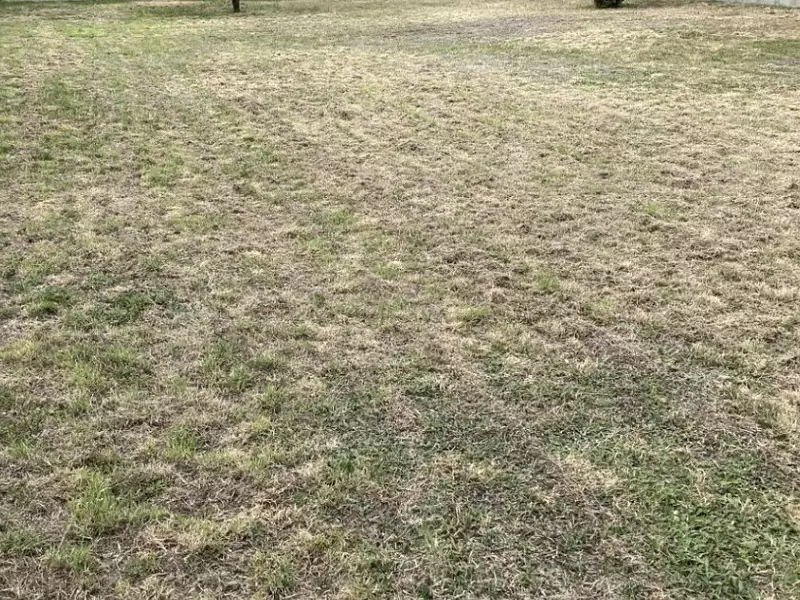 Terrain à bâtir, 560 m² - Port-Saint-Père (44710)