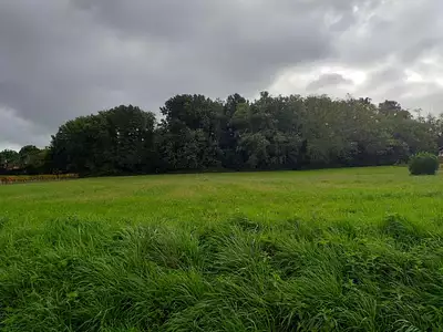 Terrain à bâtir, 1 400 m²