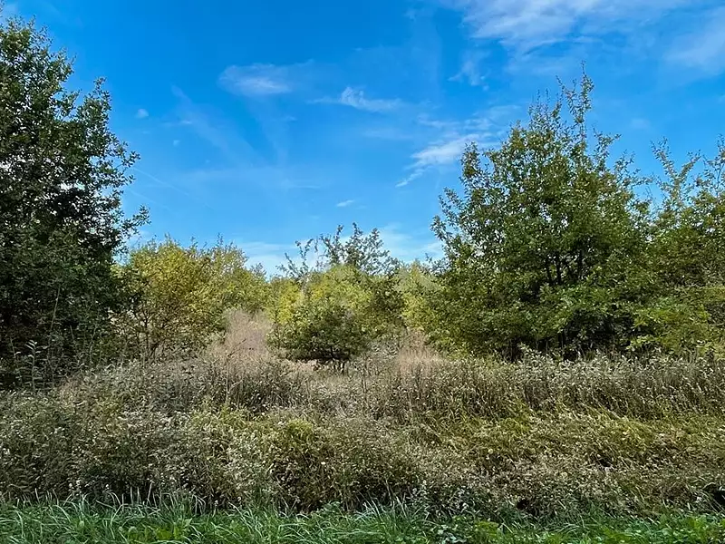 Terrain à bâtir, 2 000 m² - Pruniers-en-Sologne (41200)