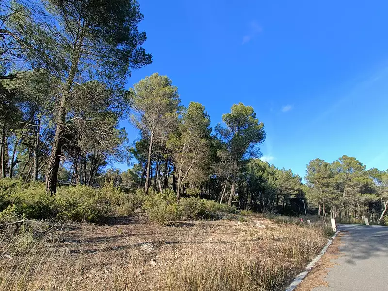 Terrain à bâtir, 628 m² - Salernes (83690)