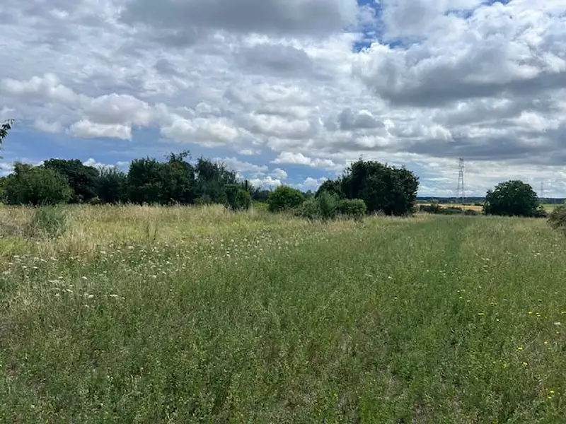 Maison neuve, 73 m² - Courchamps (49260)