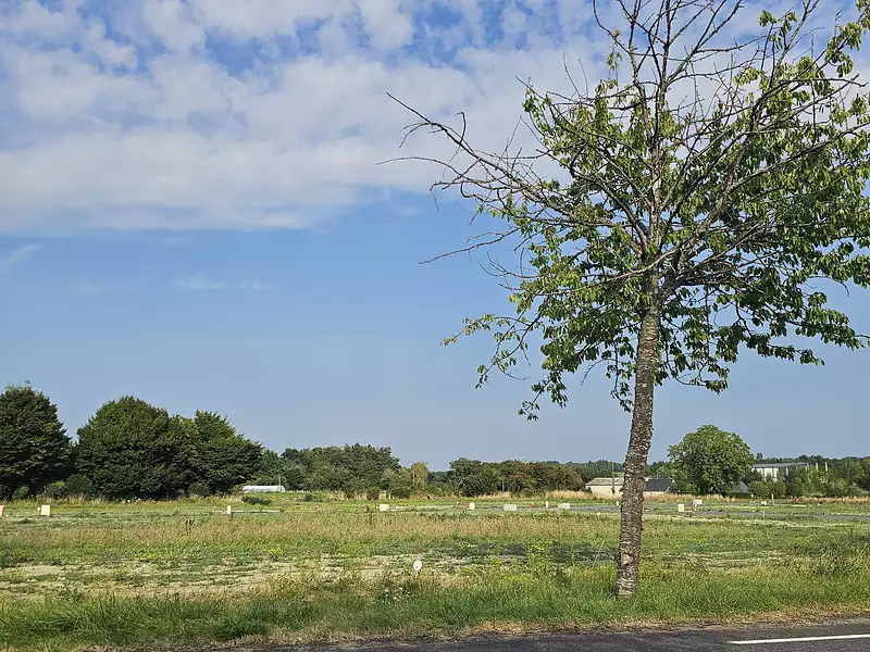 Terrain à bâtir, 368 m² - Longué-Jumelles (49160)
