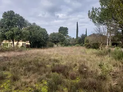 Maison neuve, 70 m²