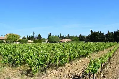 Maison neuve, 75 m²