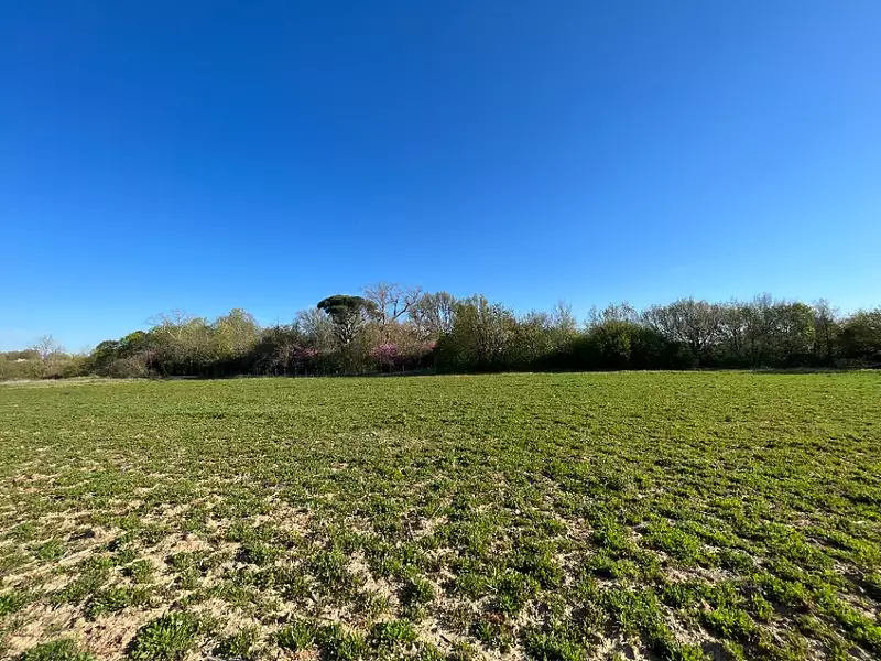 Maison neuve, 98 m² - Labastide-d'Anjou (11320)