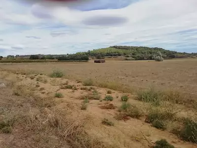 Maison neuve, 50 m²