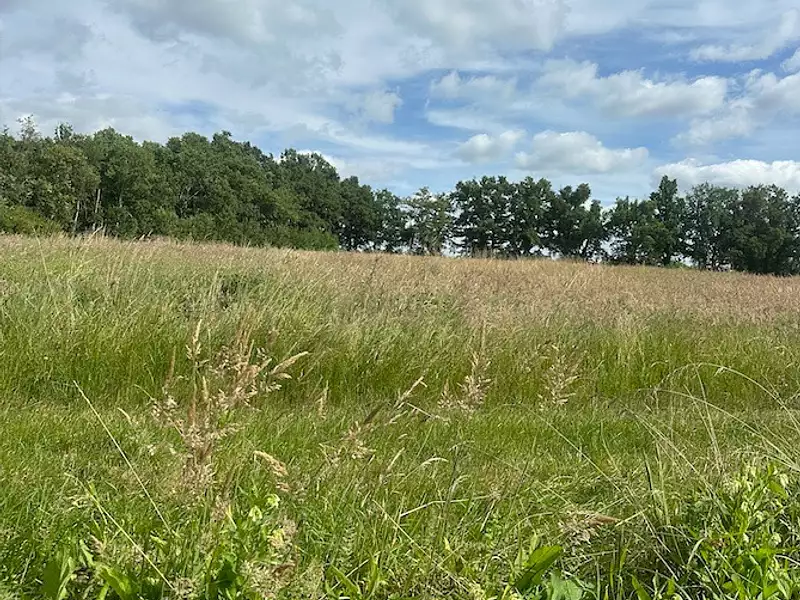 Terrain à bâtir, 600 m² - Arveyres (33500)