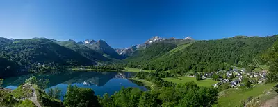 L'IRIS