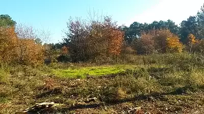 Terrain à bâtir, 493 m²