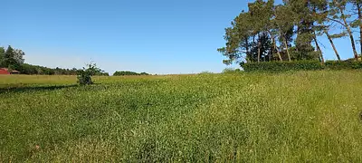 Terrain à bâtir, 5 878 m²