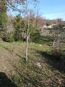 Maison neuve, 100 m²