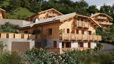 LES CHALETS DE JAYSINIA
