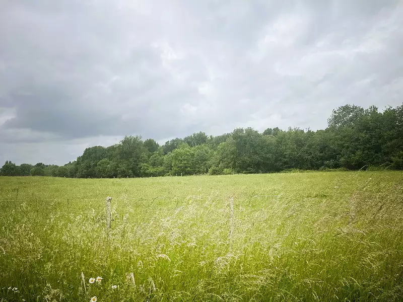Terrain à bâtir, 445 m² - La Lande-de-Fronsac (33240)