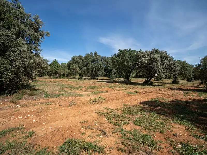 Terrain à bâtir, 500 m² - Saint-Siffret (30700)