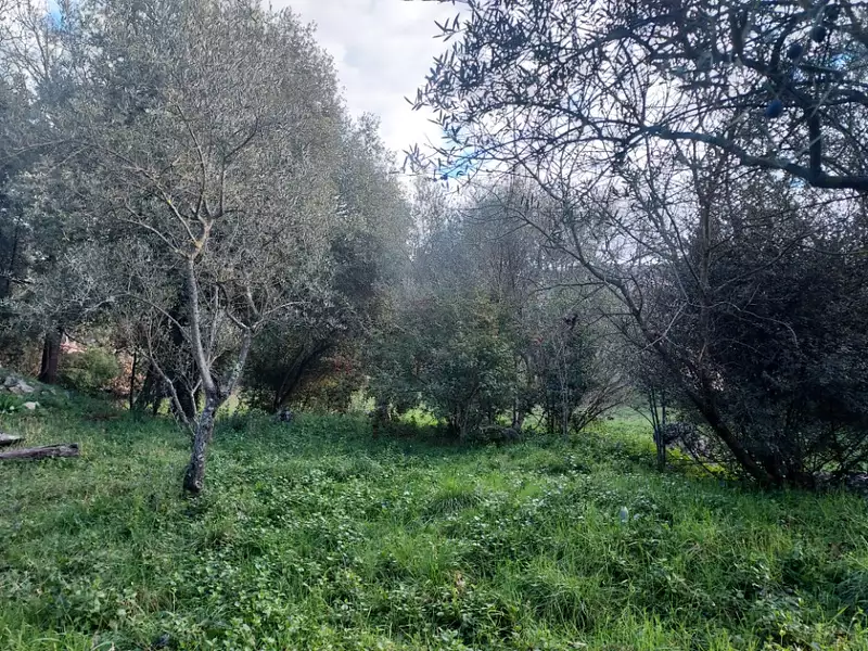 Maison neuve, 95 m² - Camps-la-Source (83170)