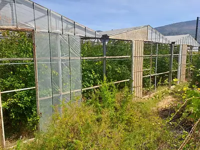 Terrain à bâtir, 441 m²