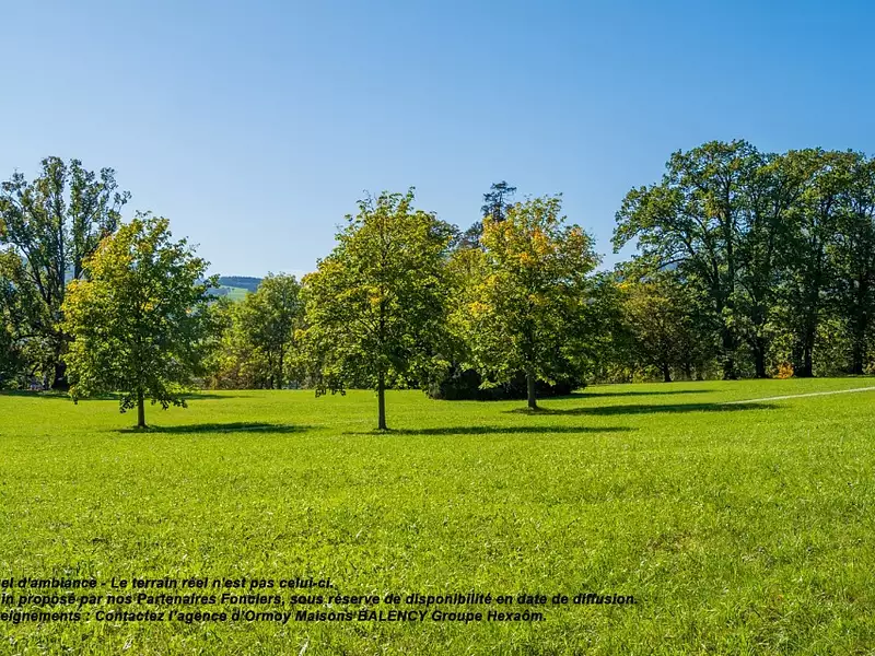 Terrain à bâtir, 534 m² - Ollainville (91340)