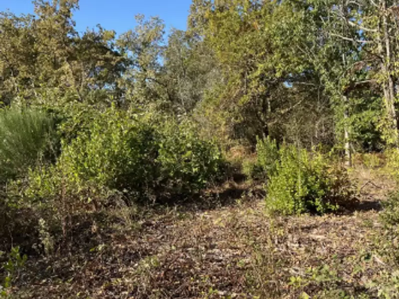 Terrain à bâtir, 825 m² - La Brède (33650)