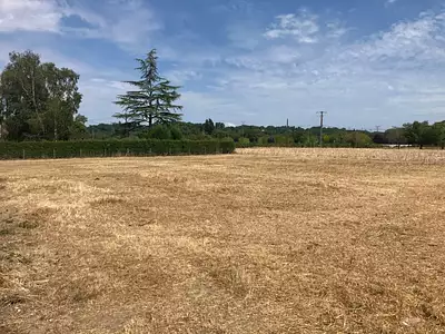 Maison neuve, 60 m²