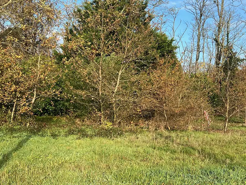 Maison neuve, 82 m² - Beautiran (33640)