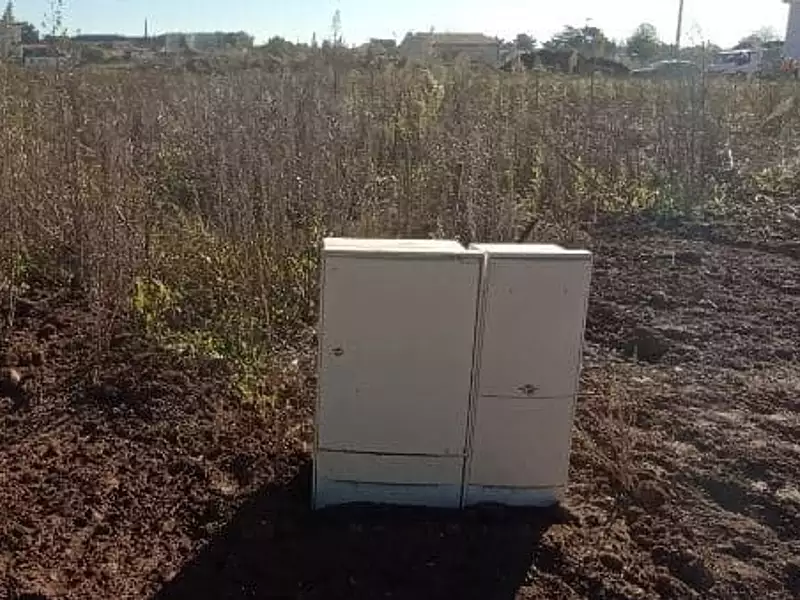 Terrain à bâtir, 363 m² - Saint-Père-en-Retz (44320)