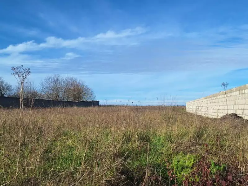 Terrain à bâtir, 1 975 m² - Mornac-sur-Seudre (17113)