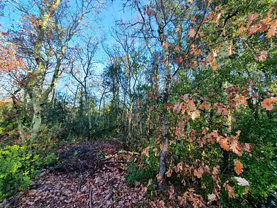 Terrain à bâtir, 1 150 m²