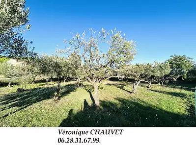 Maison neuve, 120 m²