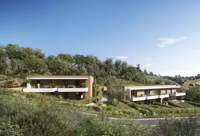 Le clos des oliviers