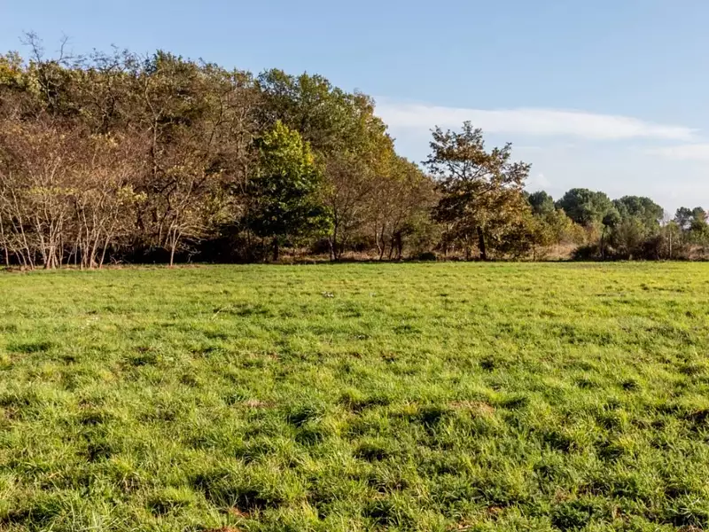 Terrain à bâtir, 3 700 m² - Grignols (33690)