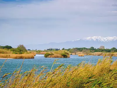 Les Voiles d'Or à 400m de la plage