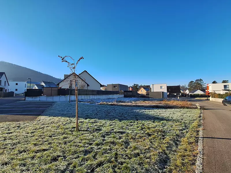 Terrain à bâtir, 659 m² - Leymen (68220)