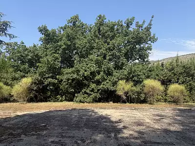 Terrain à bâtir, 2 400 m²