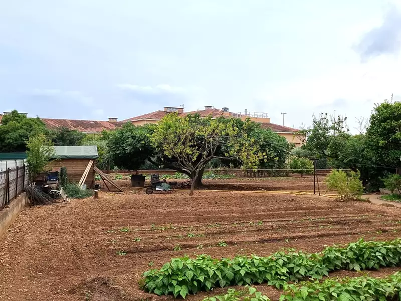 Maison neuve, 105 m² - La Valette-du-Var (83160)