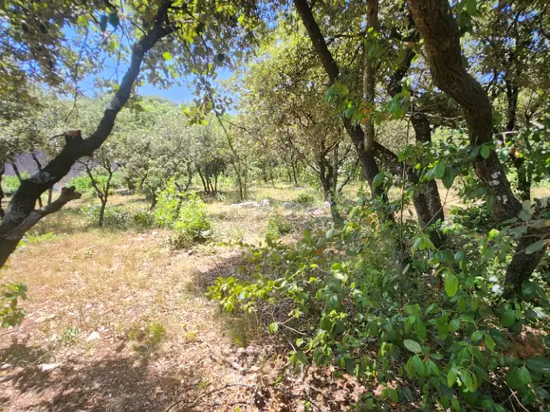 Terrain à bâtir, 1 131 m² - Bourg-Saint-Andéol (07700)