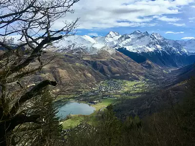L'IRIS