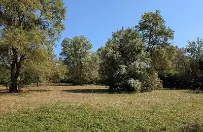 Maison neuve, 100 m²