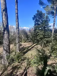 Terrain à bâtir, 800 m²