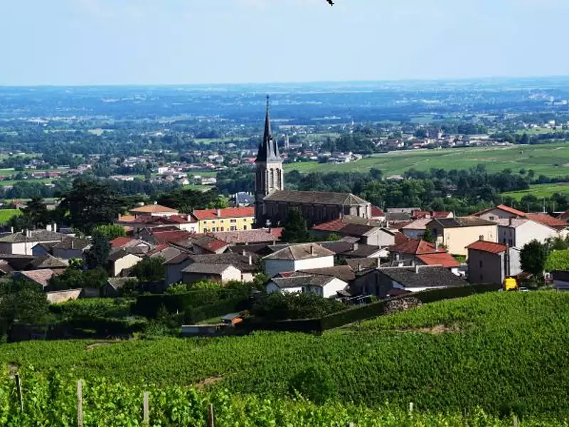 Maison neuve, 114 m² - Fleurie (69820)