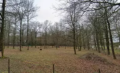 Terrain à bâtir, 312 m²