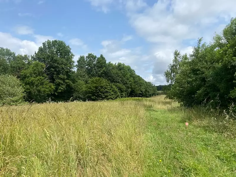 Maison neuve, 77 m² - Pontchâteau (44160)