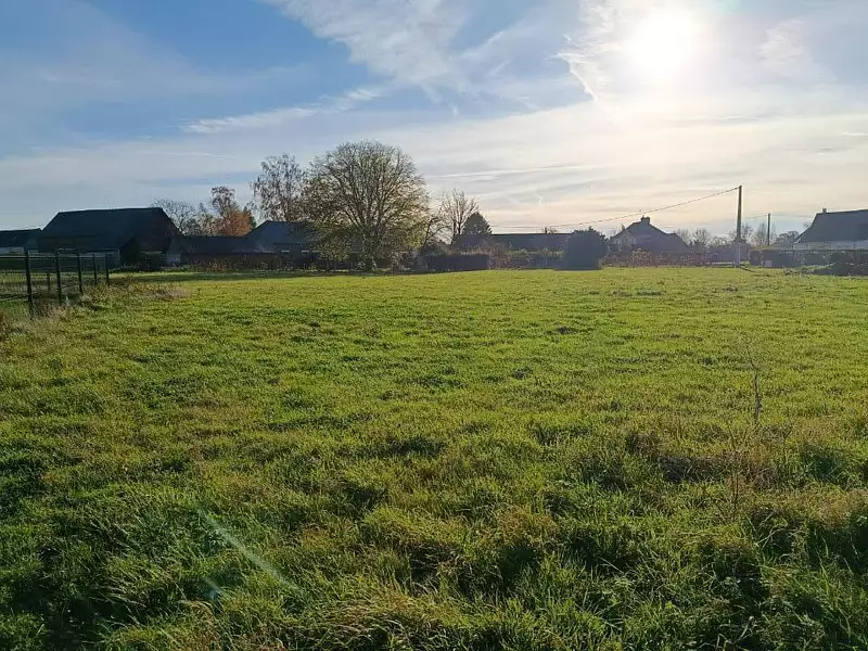 Terrain à bâtir, 1 335 m² - Réalcamp (76340)