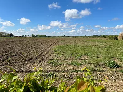 Terrain à bâtir, 1 000 m²
