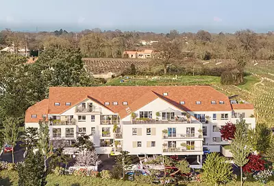 LE DOMAINE DES VIGNES