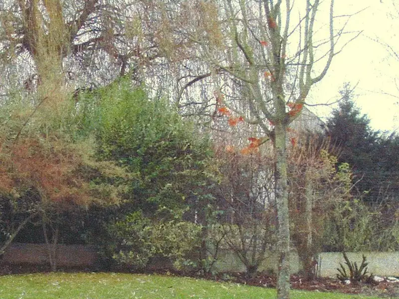 Maison neuve, 85 m² - Courpalay (77540)